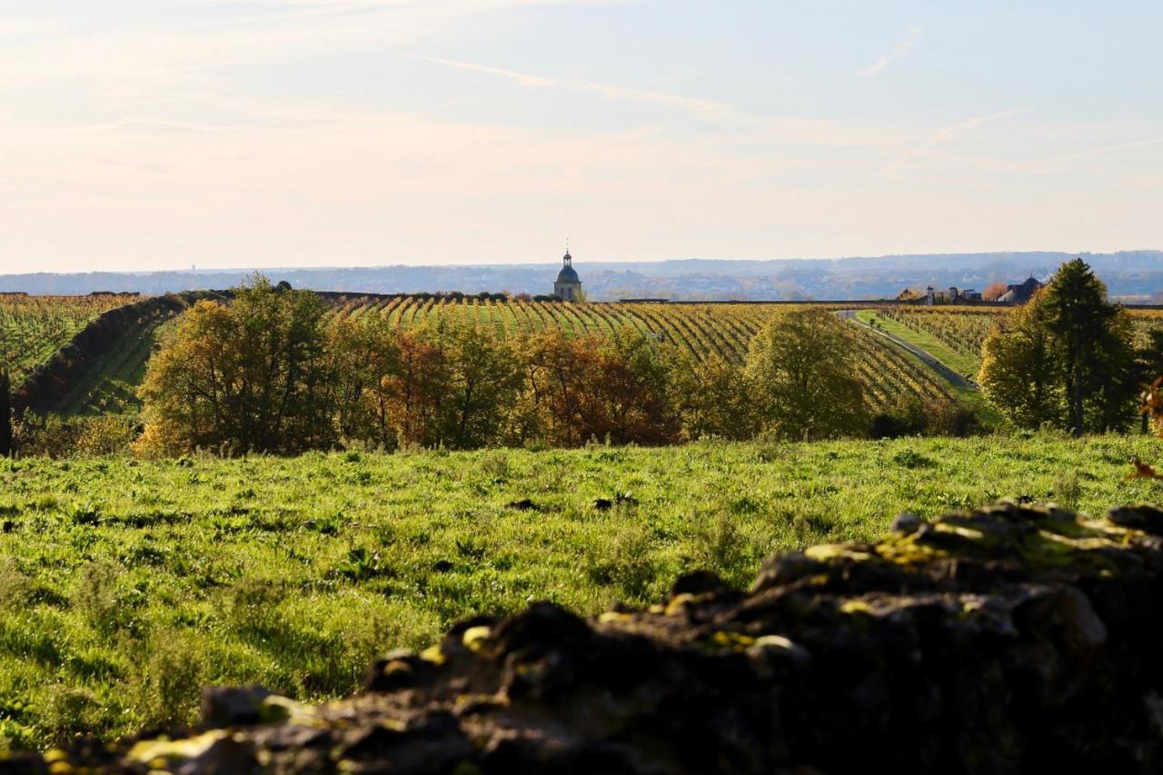 Le Gaimont Maison D'Hotes Vouvray Exterior foto